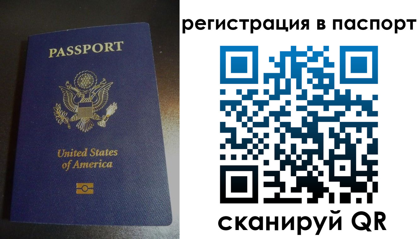 прописка для школы в Старом Осколе